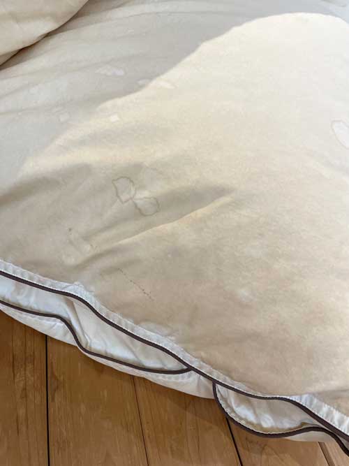 シグナス羽毛布団リフォーム前その1