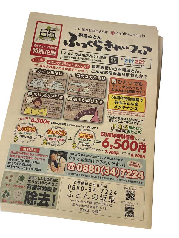 ふっくらキレイフェアちらし